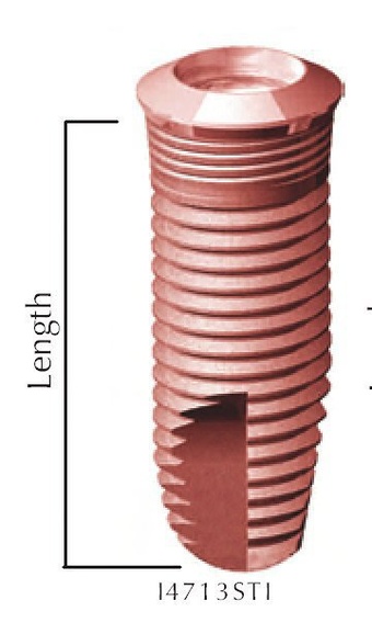 Wide Platform Straight Body main image