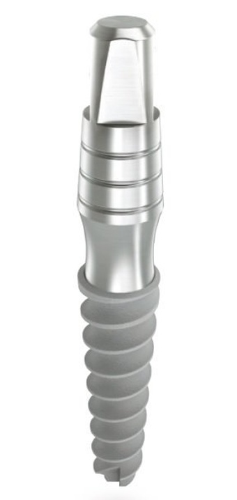 Onix main image