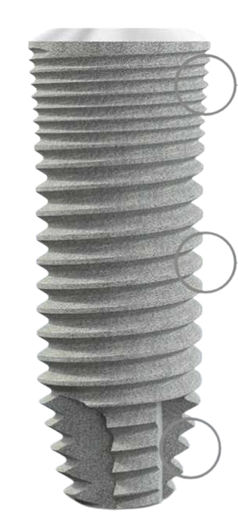 PRO-CILINDRICO main image