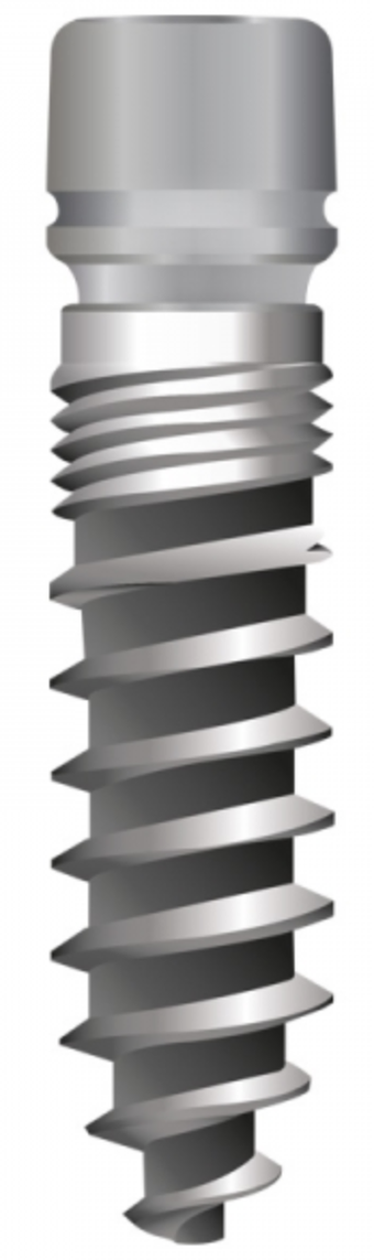 Two pieces Champions (R)Evolution main image