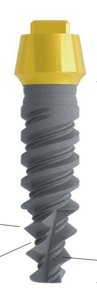 Vertical neck immediate narrow main image