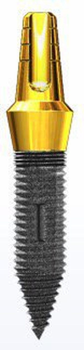 Small Diameter Implant (SDI, ex I-Mini) Crown&Bridge main image