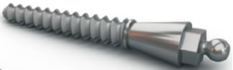 Implant O-Ring main image