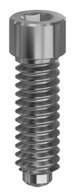 Abutment screw