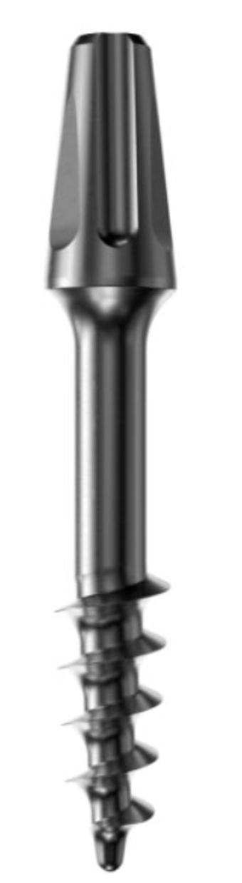 BASAL main image