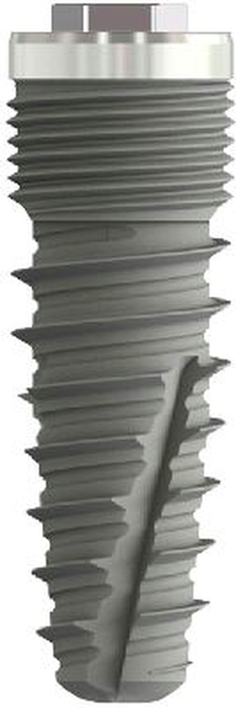 EvolutionConic ECE main image