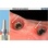 Bredent Medical Sky Classic image 8