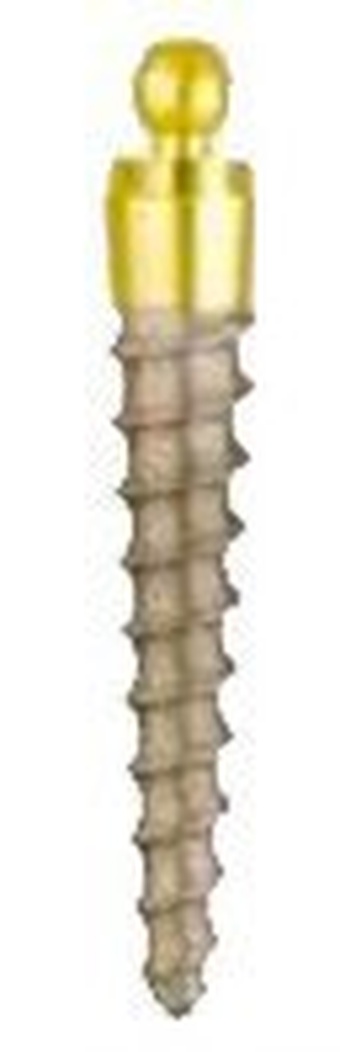 ARPB (Arrow Press Ball Implants) main image