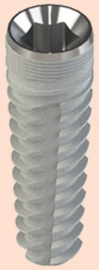 Avantgarde main image