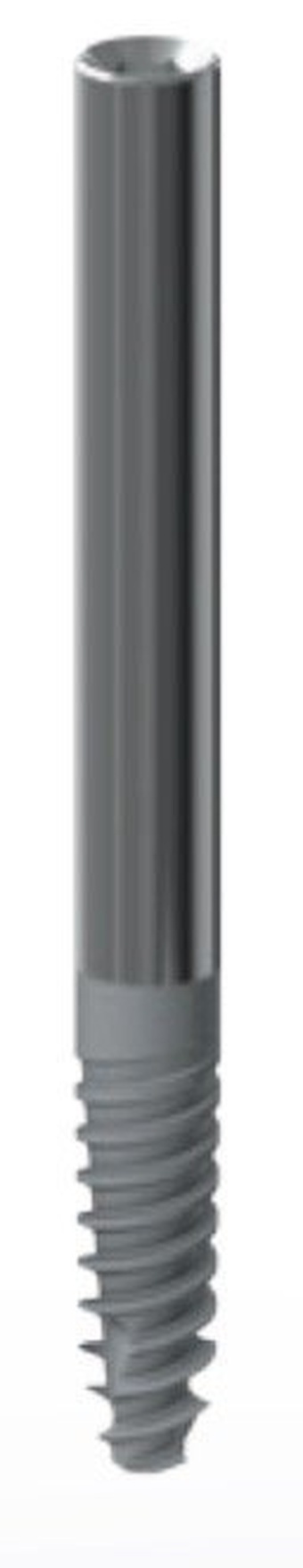 Zygomatic main image