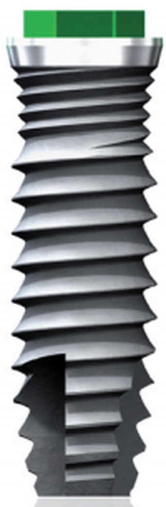 BNT main image