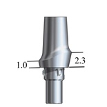 Straight abutment with screw