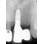 Blue Sky Bio Tri-Lobe image 4