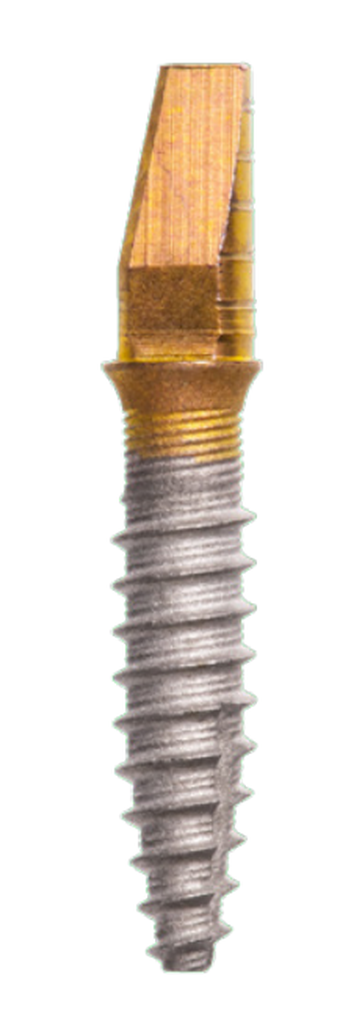 One-Piece Abutment main image