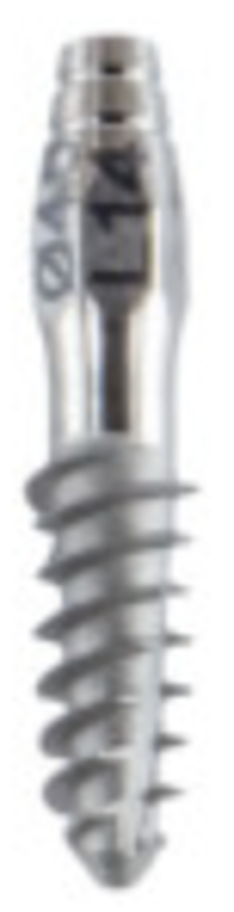 SX main image