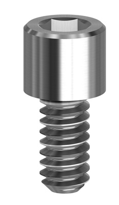 Abutment screw