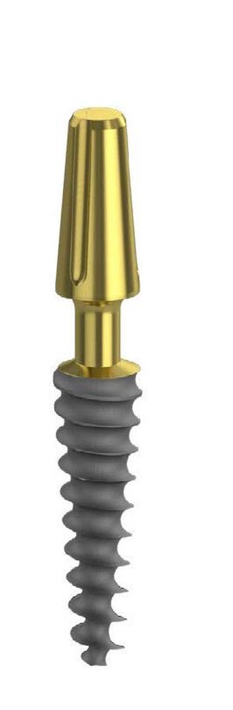 ONE PIECE ARP main image