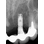 TBR Ide Oct-In image 4