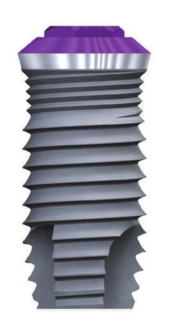 TSA Advance main image