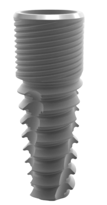 Conical Evolution main image