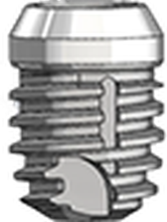 Short-T 3mm main image