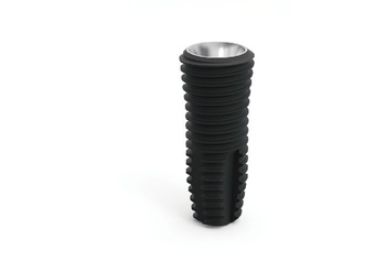101 main image