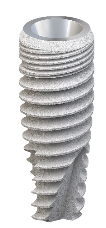 Dynamic conical main image