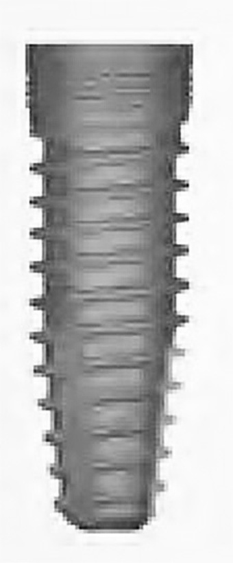 Strong SW Interno main image