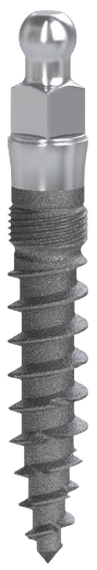 MDL Mini (new) main image