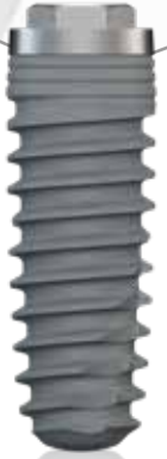 Isy Kone Ext main image