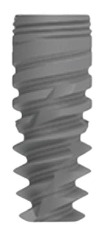 NT main image