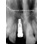 BioHorizons Internal image 6
