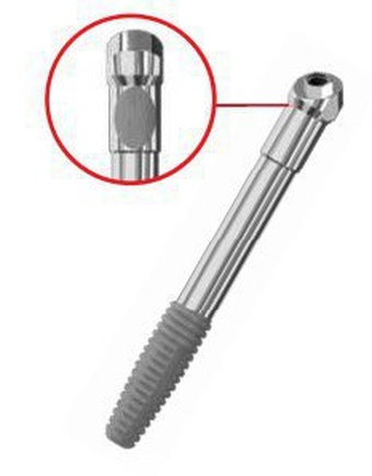 Atrophic Maxillary Zygoma main image
