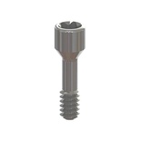 Prosthetic screw with screw