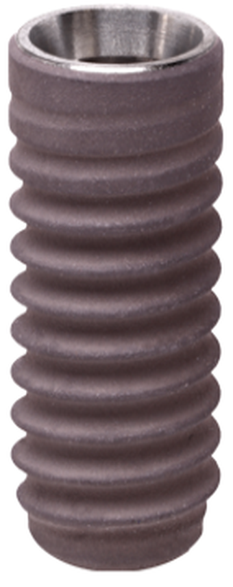 Oktagon BL Standard main image