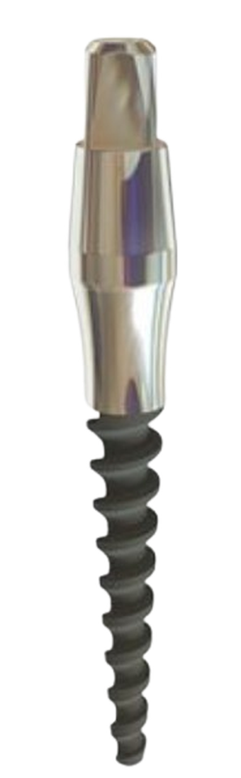 MO Fixture main image