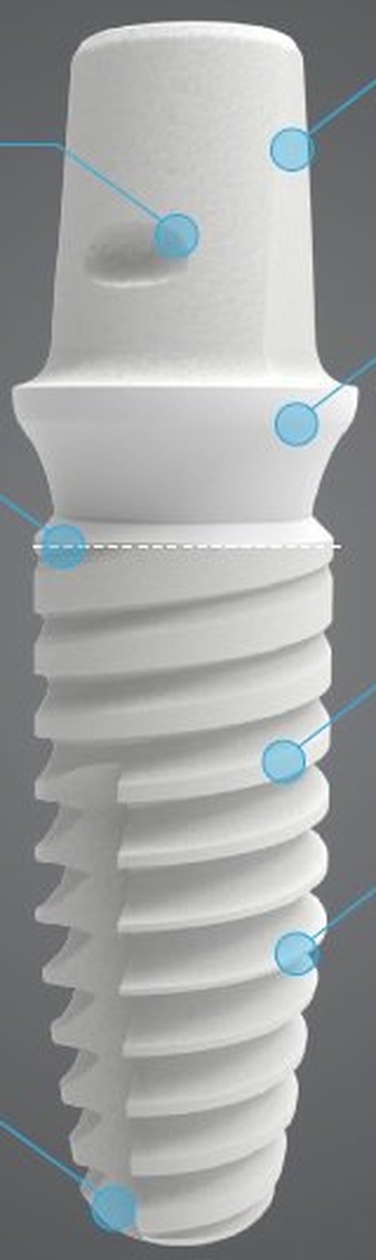 Z1-S main image