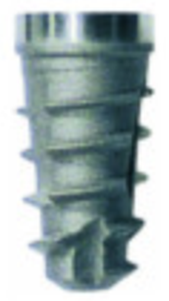 TL main image