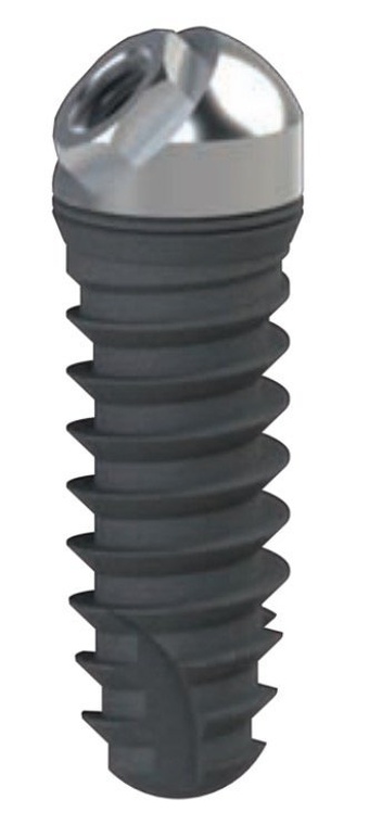 Conus Angulado main image