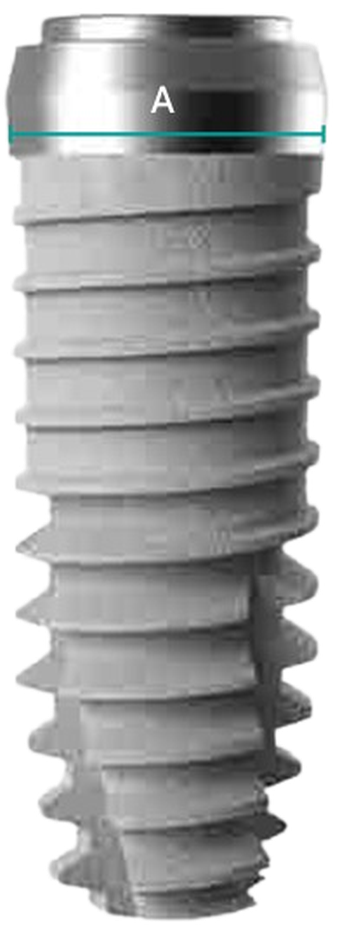 Bond DW main image