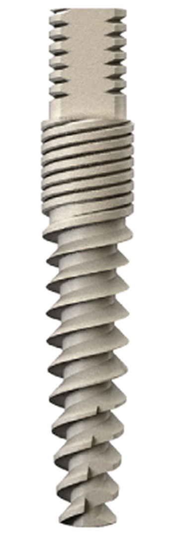 CIT (narrow) main image