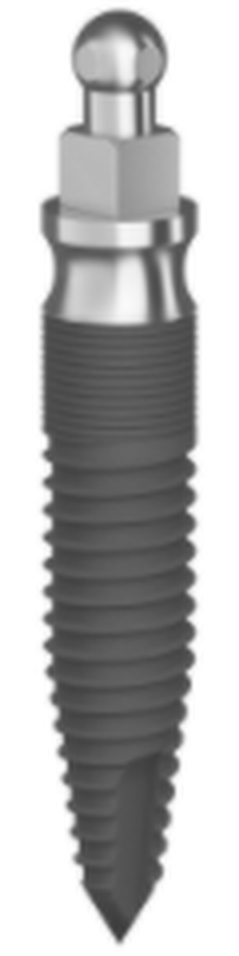 Implants hybrides MDI avec rotule main image