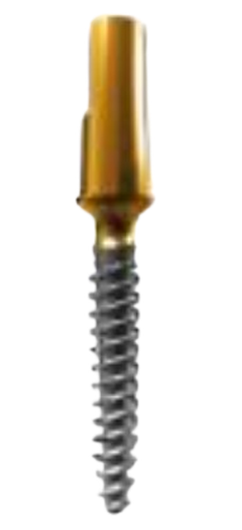 QM main image