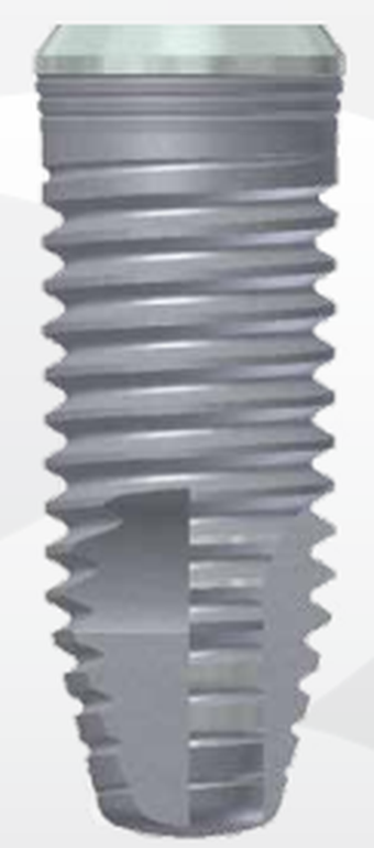 BT EVO DL Int main image