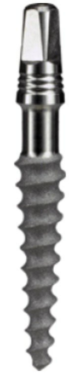 KOS T main image