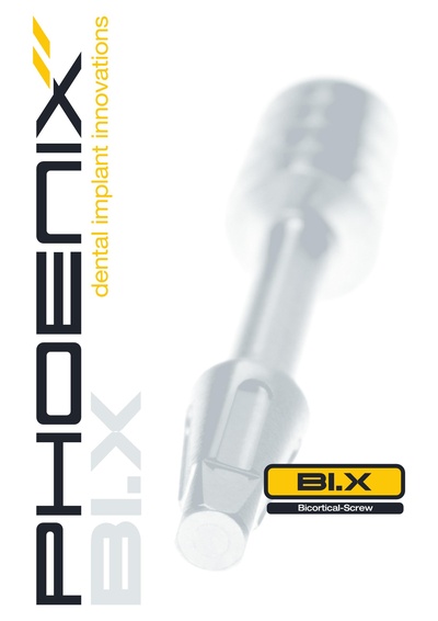 System-Description_BI-X_03-2013.pdf