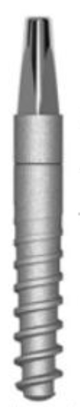 Single Body (3mm) main image