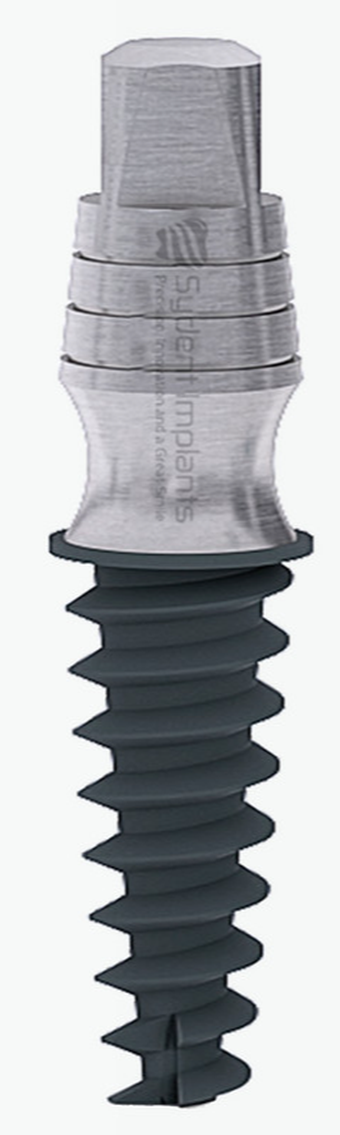 Singular One-Piece main image