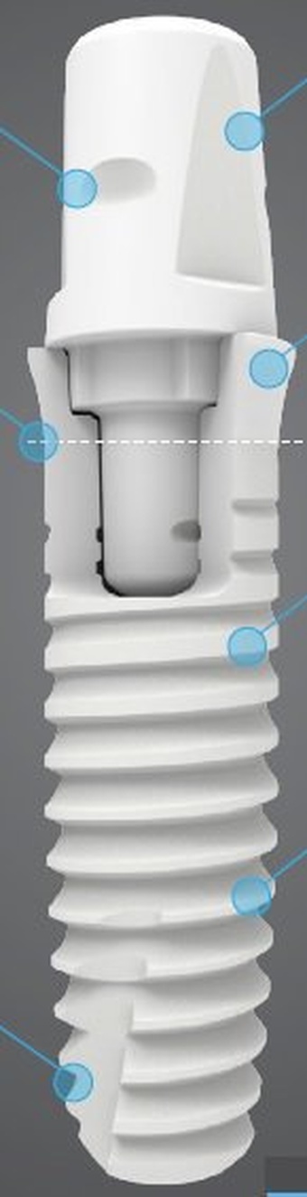 Z2-C main image