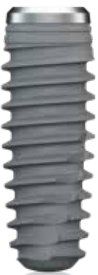 Isy Kone MT main image